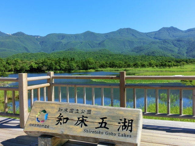 知床五湖。原生林の中に広がる静かな湖と知床連山